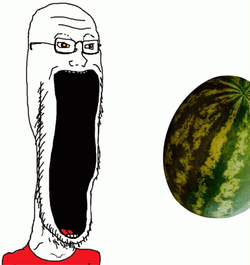 Eating Watermelon Soyjak Meme Face GIF
