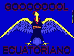 Ecuador Ecuatoriano Golden Eagle GIF
