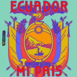 Ecuador Eliminatorias Copa America  GIF