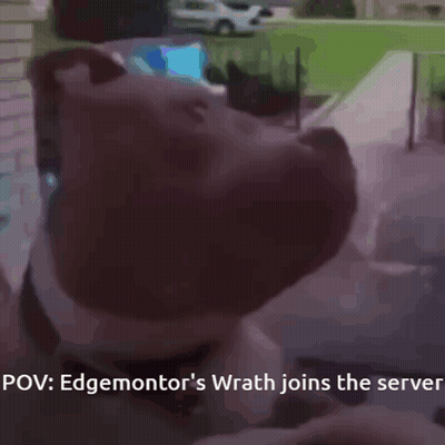 Edgemontor's Wrath Joins The Server Dog GIF