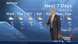 Edmonton Weatherman Plays With Dog GIF