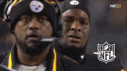 Eek Pittsburgh Steelers GIF