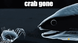 Eel Crab Gone GIF
