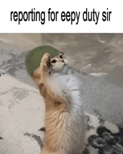 Eepy Duty Meme GIF