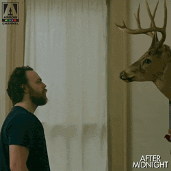Eerie Stare Down After Midnight GIF