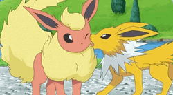 Eevee Evolutions Sweet Flareon Jolteon GIF