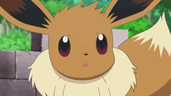 Eevee Pokemon Amazed Eyes Wow Reaction GIF | GIFDB.com