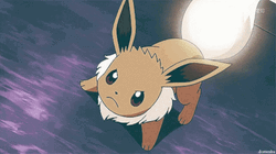 Eevee Pokemon Battle Swift Power Attack GIF