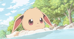 Eevee Pokemon Determined Look Swimming River  GIF