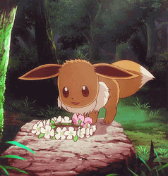 Eevee Pokemon Flower Head Forest Anime