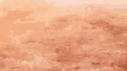 Eevee Pokemon Tackle Ready Attack Landing GIF