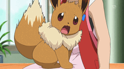 Eevee Pokemon X And Y Scared Hide Serena GIF