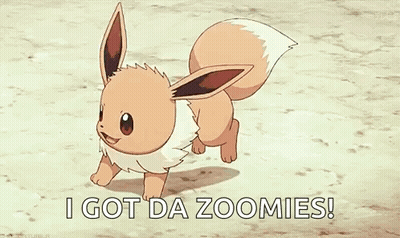 Eevee Walking With I Got Da Zoomies GIF
