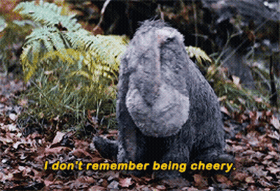Eeyore Praying For Irma To Get Well Soon GIF