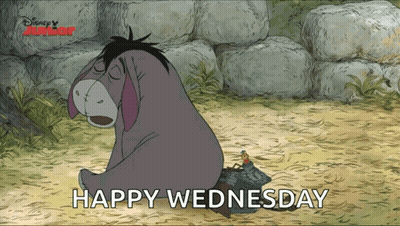 Eeyore Sitting On Rock Saying Happy Wednesday GIF