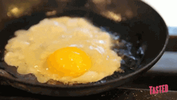 Egg Being Toasted On The Pan GIF