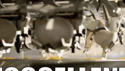Egg Laying King Mass Process GIF