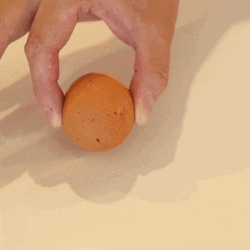 Egg Laying King Organic Hand Smash GIF