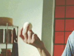 Egg Laying King Quality Check GIF