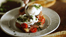 Egg Laying King Recipe GIF