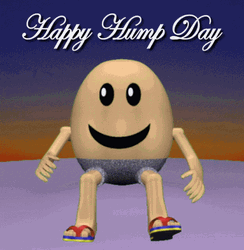 Egg On Top Of Hump Day Wednesday GIF