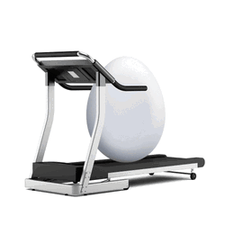 Egg Roll On Treadmill