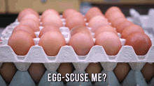 Egg-Scuse Me? Excuse Me GIF