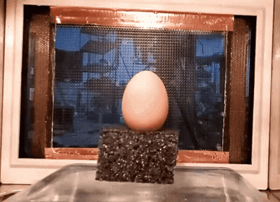 Egg Sitting On Black Foam GIF