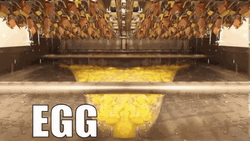 Eggcitting Egg Yolk GIF