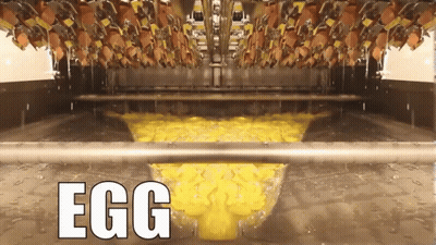 Eggs Being Cooked In A Machine With Egg Text GIF