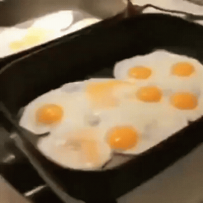 Eggs Cooking In Pan GIF