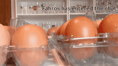 Eggs In Plastic Container Fahros Has Entered Chat GIF