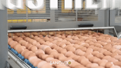 Eggs On Conveyor Belt Saying Sanovo GIF