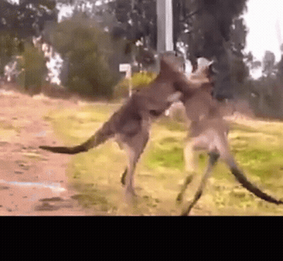 Egyptian Pyramids Landing Pads For Aliens On Man's Face GIF