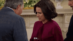 Eh Julia Louis Dreyfus Doubtful GIF