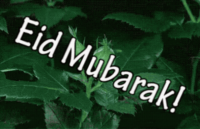 Eid Mubarak On Green Background GIF
