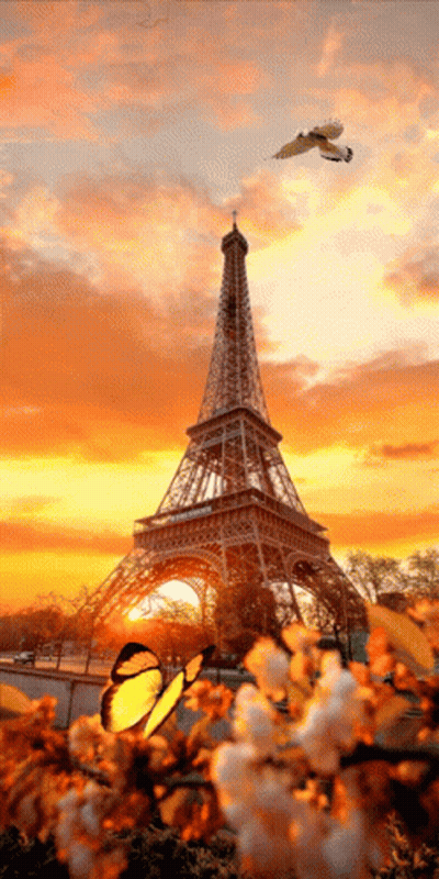 Eiffel Tower Behind Glass Fence And Wooden Wall GIF