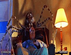 Eight Legged Freaks Spider Jumpscare GIF