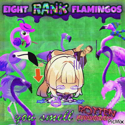 Eight Rank Flamingos GIF