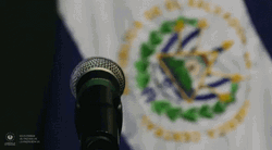 El Salvador Flag Logo GIF