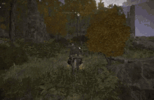 Elden Ring Player Traveling With Torrent GIF