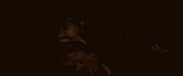 Elder Scrolls Khamira Running Away From Fire GIF