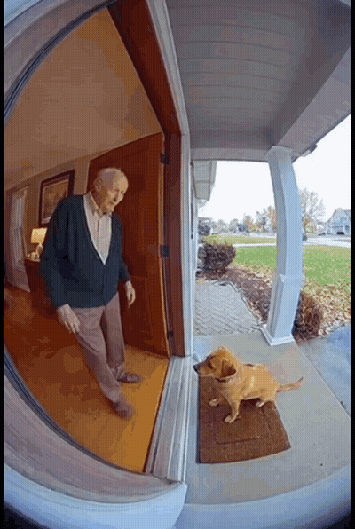 Elderly Man And Dog At Door GIF