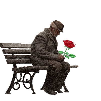 Elderly Man Holding Red Rose Sticker