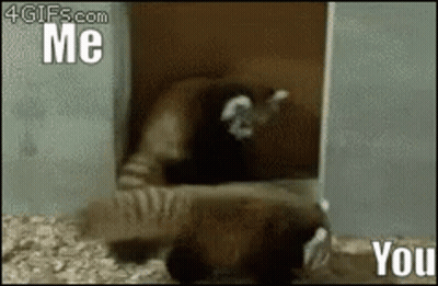 Elderly Man In Suit And Tie Looking At Camera GIF