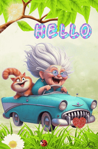 Elderly Woman Driving Car With Cat Hello GIF
