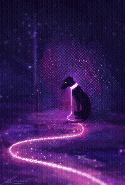 Elderly Woman In Purple Coat Playing With Dog In Field GIF