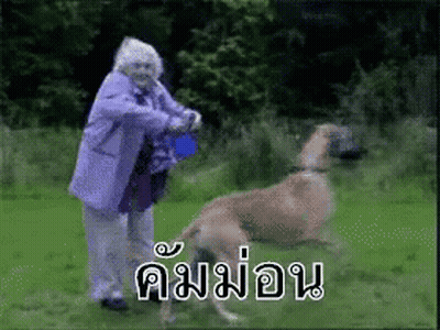 Elderly Woman In Purple Coat Playing With Dog In Field GIF