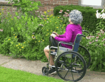 Elderly Woman In Wheelchair Sitting In Front Of Flowers GIF