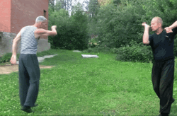 Elders Practice Kung Fu GIF